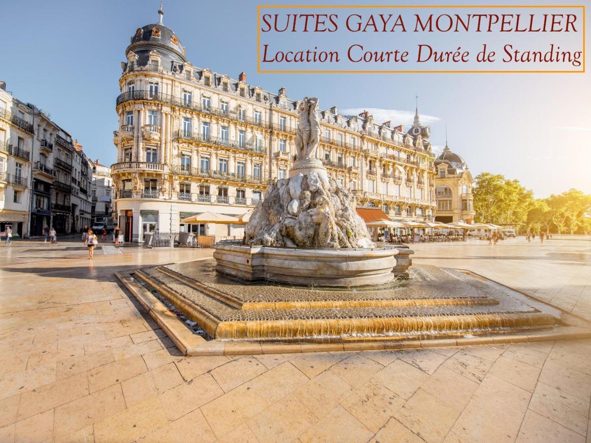 Rare Loft Vue Sur Les Toits - Gaya Centre Historique * Montpellier